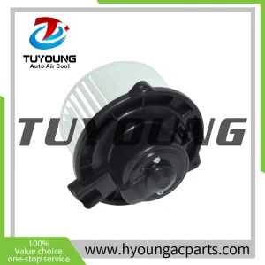 TUYOUNG  China supply auto air conditioner blower fan motor fit for Land Rover, JGC500050 75018, HY-FM351