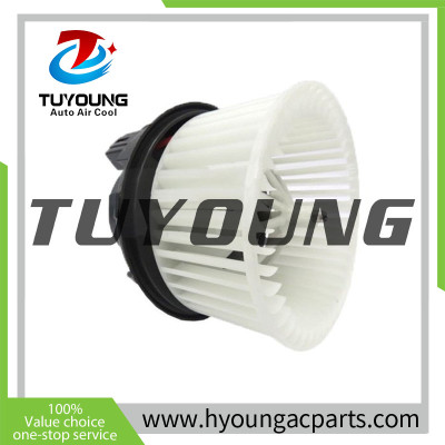 TUYOUNG  China supply auto air conditioner blower fan motor fit for Ford, DV6Z19805C , HY-FM314