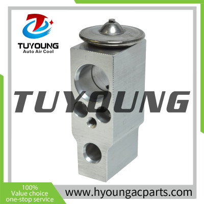 tuyoung China supply auto ac expansion valves for Nissan/Infiniti NAVARA Omega 7013558 3131315