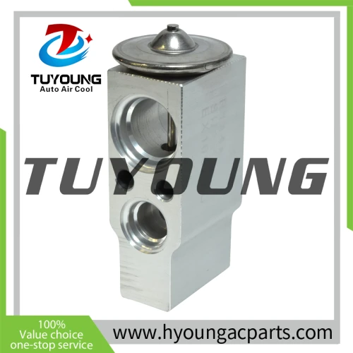 tuyoung China supply auto ac expansion valves for Nissan/Infiniti NAVARA Omega 7013558 3131315