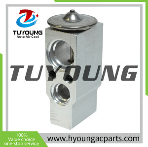 tuyoung China supply auto ac expansion valves for Nissan/Infiniti NAVARA Omega 7013558 3131315