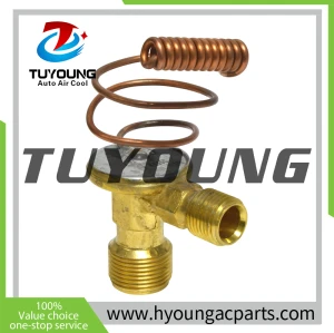 TUYOUNG China supply auto ac Expansion Valve for Chevrolet Geo Pontiac Toyota 155605 T39091 759091