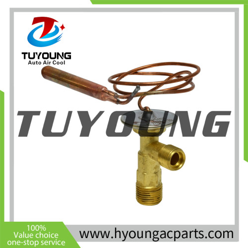 TUYOUNG China wholesale Auto air conditioning thermal expansion valves for Chevrolet Astro/C10/C20/C20 Suburban, EX 5481C,HY-PZF277