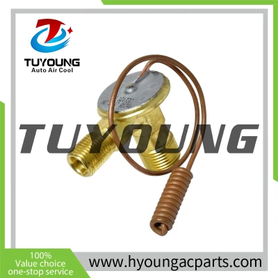 TUYOUNG China supply Auto air conditioning thermal expansion valves for Mazda MPV,EX 10173C LA0561P14,HY-PZF283
