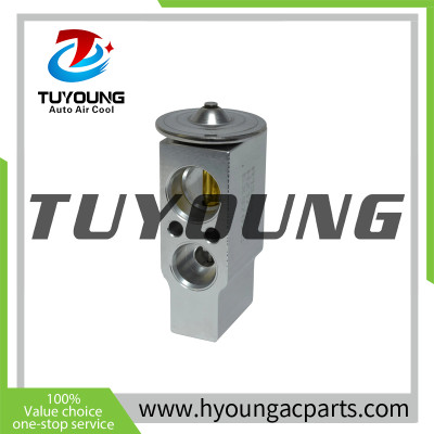 TUYOUNG Auto air conditioning block expansion valves Acura Honda EX 9702C 3131022 3131062 3131278 80220S5A003 80220S5AG01 80220SDET01