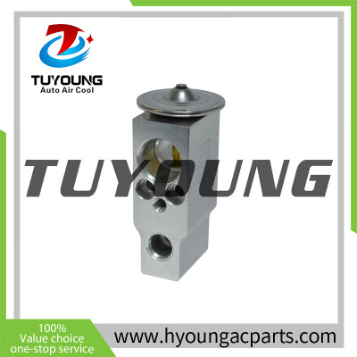 TUYOUNG China supply Auto air conditioning block expansion valves for Acura/Honda,EX 9702C,HY-PZF287