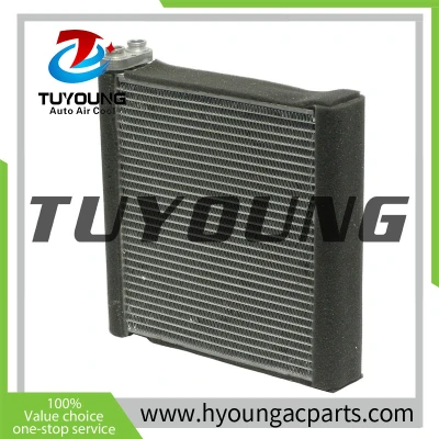 TUYOUNG China manufacture Auto air conditioning evaporator core for Mazda 3 5, 2491010, HY-ET178