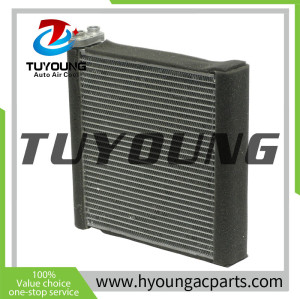 TUYOUNG China manufacture Auto air conditioning evaporator core for Mazda 3 5, 2491010, HY-ET178