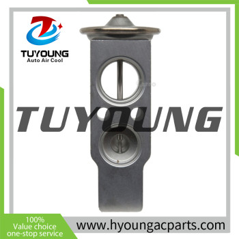 TUYOUNG Auto ac expansion valves Honda Civic 80221SNAA01 8851552020 80221STKA41 80221SVAA01 80221SWAA01 80221SWAA02 80221TR2T41 80222TM8A01 80222TM8A41
