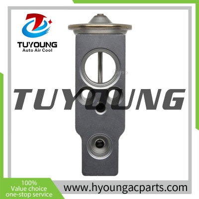 TUYOUNG Auto ac expansion valves Honda Civic 80221SNAA01 8851552020 80221STKA41 80221SVAA01 80221SWAA01 80221SWAA02 80221TR2T41 80222TM8A01 80222TM8A41