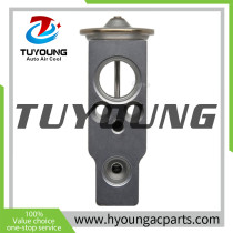 TUYOUNG China supply Auto air conditioning thermal expansion valves for Honda Civic,80221SNAA01  8851552020 ,HY-PZF294
