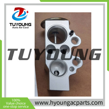 New mould AUDI Q5 auto ac expansion valves 8T0820679A 8T0820679 3131252 3131337 EX 9754C