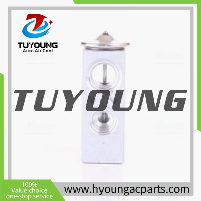 TUYOUNG China supply auto ac expansion valves for  DACIA LOGAN (LS_) SANDERO LADA LARGUS Estate Van RENAULT MEGANE III  6001547682,HY-PZF290