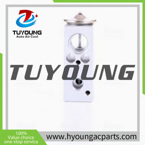 TUYOUNG China supply auto ac expansion valves for  DACIA LOGAN (LS_) SANDERO LADA LARGUS Estate Van RENAULT MEGANE III  6001547682,HY-PZF290
