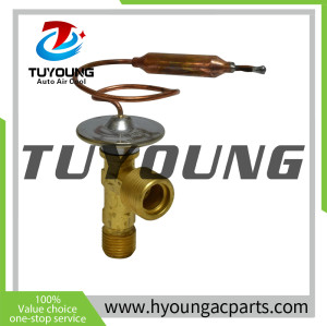 TUYOUNG China supply Auto air conditioning thermal expansion valves for Honda  Passport 3.2L (2000-2002) ,1550254 1550856,HY-PZF298