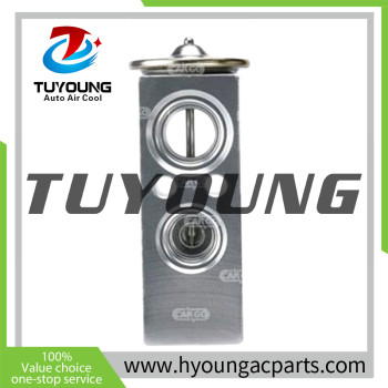 TUYOUNG auto ac expansion valves CITROEN PEUGEOT 6461L9 92200-AX10A 668621 92200-AX100, HY-PZF292 1649607280