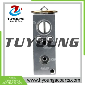 TUYOUNG auto ac expansion valves CITROEN PEUGEOT 6461L9 92200-AX10A 668621 92200-AX100, HY-PZF292 1649607280
