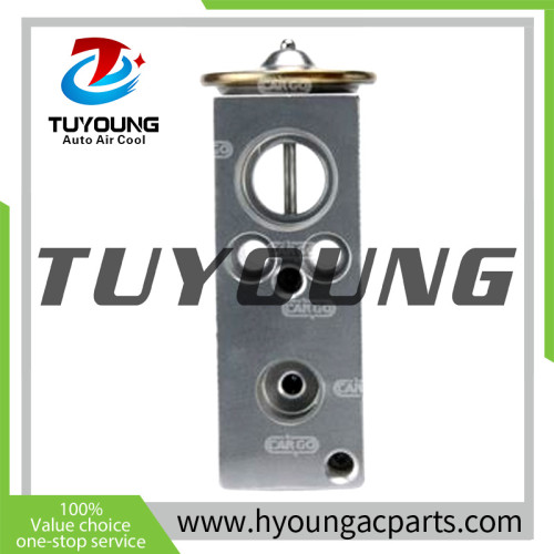 TUYOUNG China supply auto ac expansion valves for CITROEN  NISSAN DS PEUGEOT 6461L9 92200-AX10A  668621  92200-AX100, HY-PZF292