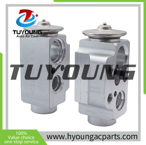 TUYOUNG China supply auto ac expansion valves for AUDI Q7 (4LB)  VW TOUAREG 7L0820712B 7L0820712A, HY-PZF296