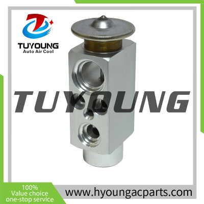 TUYOUNG China supply auto ac expansion valves for Porsche 911Carrera Carrera 4S 928 GTS 92857312305 3090882, HY-PZF300