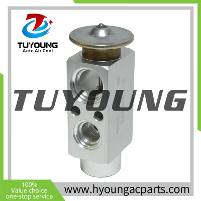 TUYOUNG China supply auto ac expansion valves for Porsche 911Carrera Carrera 4S 928 GTS 92857312305 3090882, HY-PZF300
