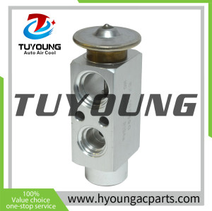 TUYOUNG China supply auto ac expansion valves for Porsche 911Carrera Carrera 4S 928 GTS 92857312305 3090882, HY-PZF300