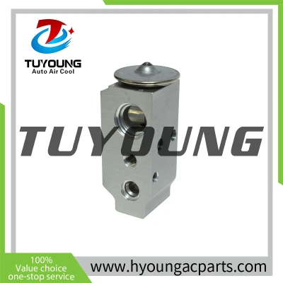TUYOUNG China factory produce auto ac expansion valves for Kia Magentis 2009-2010, 97626-2F700 97626-1D200, HY-PZF297
