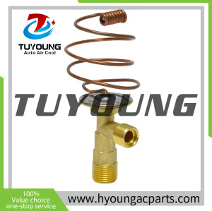 TUYOUNG China supply auto ac expansion valves for Volkswagen Vanagon (1983-1985), 338920M91 , HY-PZF304