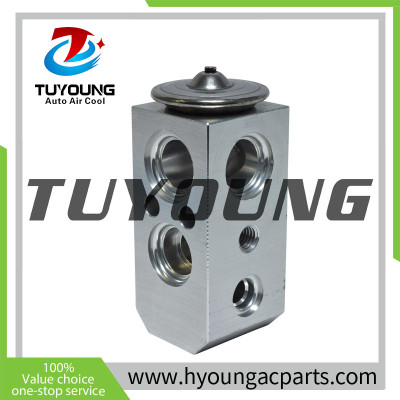 China factory manufacture Air Conditioning Expansion Valve for 2006-2011 Hyundai Accent 1.6L, HY-PZF291