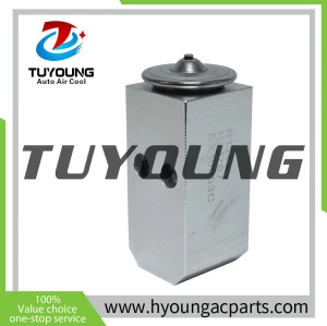 China factory manufacture Air Conditioning Expansion Valve for 2006-2011 Hyundai Accent 1.6L, HY-PZF291