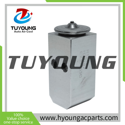 China factory manufacture Air Conditioning Expansion Valve for 2006-2011 Hyundai Accent 1.6L, HY-PZF291