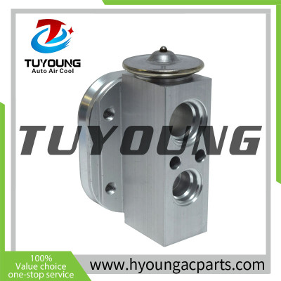 China factory manufacture Air Conditioning Expansion Valve for 2014-2016 BMW 228i 2.0L, HY-PZF295