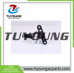 TUYOUNG China manufacture auto Air Conditionier Receiver Drier fit Renault Clio 2002 1.5L, 7700436061 149171, HY-GZP223