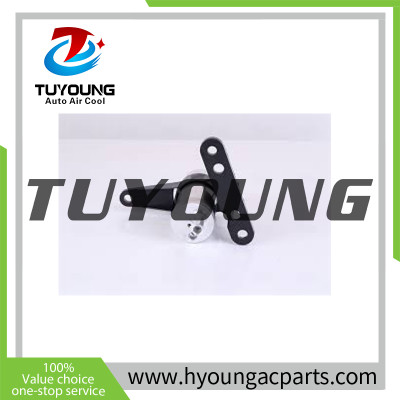 TUYOUNG China manufacture auto Air Conditionier Receiver Drier fit Renault Clio 2002 1.5L, 7700436061 149171, HY-GZP223