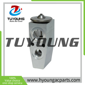 TUYOUNG China factory produce auto ac expansion valves for Chevrolet Colorado 2004-2014, 25891795 EX 9707C, HY-PZF303