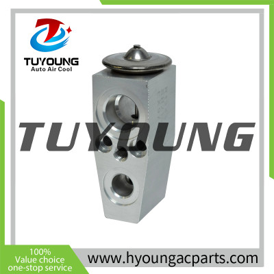 TUYOUNG China factory produce auto ac expansion valves for Chevrolet Colorado 2004-2014, 25891795 EX 9707C, HY-PZF303