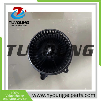 TUYOUNG Hyundai Tucson auto ac blower fan motor 97113-2PAA0 971132PAA0 Kia Cerato Berline (Fe) 2.0 97113-2P000 971132P000