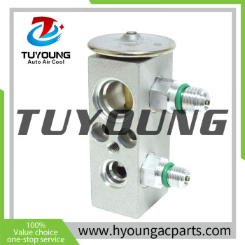TUYOUNG China supply auto ac expansion valves for Kenworth T2000 T700 Peterbilt 387 587 540254BSM 540057BSM  EX 9703C, HY-PZF306