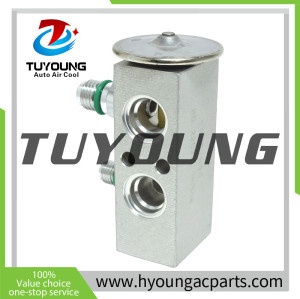TUYOUNG China supply auto ac expansion valves for Kenworth T2000 T700 Peterbilt 387 587 540254BSM 540057BSM  EX 9703C, HY-PZF306