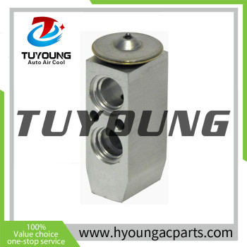 China factory manufacture Air Conditioning Expansion Valve for Western Star	4700SB 4700SF 2012-2019, 1550889 T39073,HY-PZF305