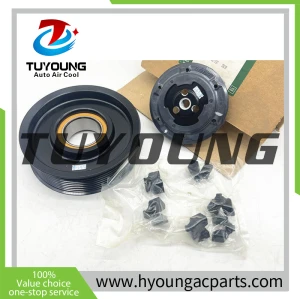 TUYOUNG China supply auto ac compressor clutch for Range Rover Sport L320 3.6td, LR027983 BH2219D653CA, HY-CH1287