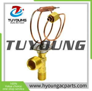 auto parts ac Expansion valve HONDA CIVIC ALL ENGINES FROM 1994-2000 80220SP0J11  EX 10006C  80220-ST7-A03,HY-PZF126