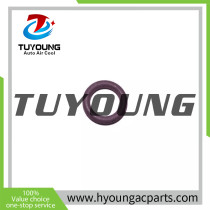 TUYOUNG  Auto air conditioning vehicle O-Ring Repair 4E0260749A  for 2004 on Bentley Continental GT, GTC and Flying spur models