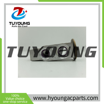 TUYOUNG China factory produce auto ac expansion valves for Mercedes A W168 A1688300284 R134a, HY-PZF307