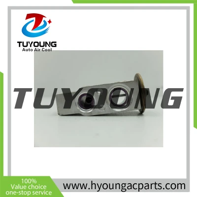 TUYOUNG China factory produce auto ac expansion valves for Mercedes A W168 A1688300284 R134a, HY-PZF307