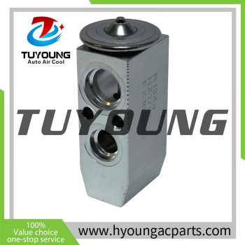 TUYOUNG China auto ac expansion valves Nissan Maxima Murano Rogue 922009H205 3131130 HY-PZF310 92200-9H205  TSP0585112 515018