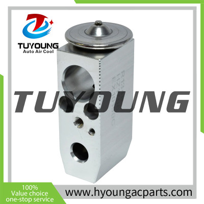 TUYOUNG China auto ac expansion valves Nissan Maxima Murano Rogue 922009H205 3131130 HY-PZF310 92200-9H205  TSP0585112 515018
