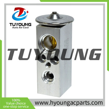 TUYOUNG China supply auto ac expansion valves for Kenworth T2000 Peterbilt 387 587 SERIES F906000 3688242C2, HY-PZF316