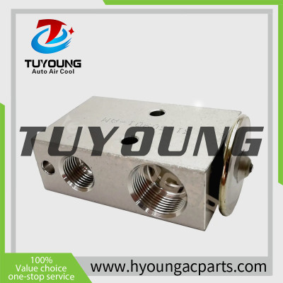 TUYOUNG China supply auto ac expansion valves for  JCB 3CX, 4CX  265/00278, 997/13800, 30/914005,  HY-PZF320