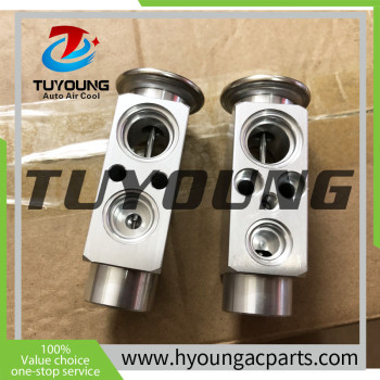 TUYOUNG auto ac expansion valves Renault Premium Trucks 5001867932